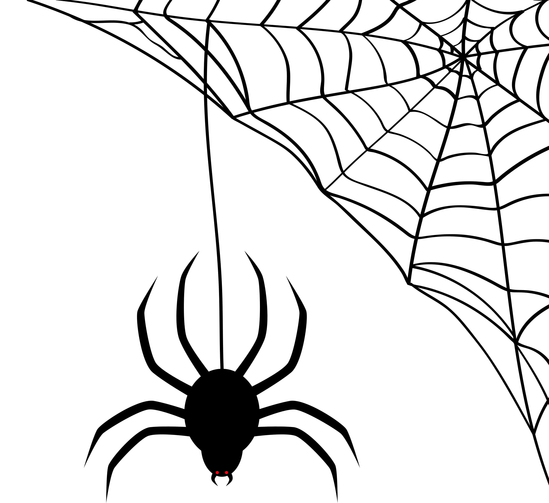 De spin weeft haar web